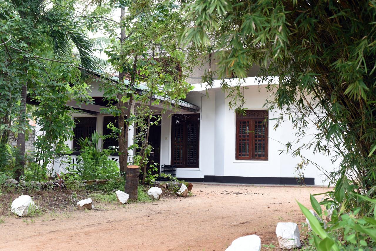 Sun&Green Eco Lodge Dambulla Buitenkant foto