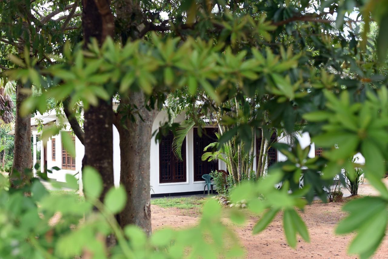 Sun&Green Eco Lodge Dambulla Buitenkant foto