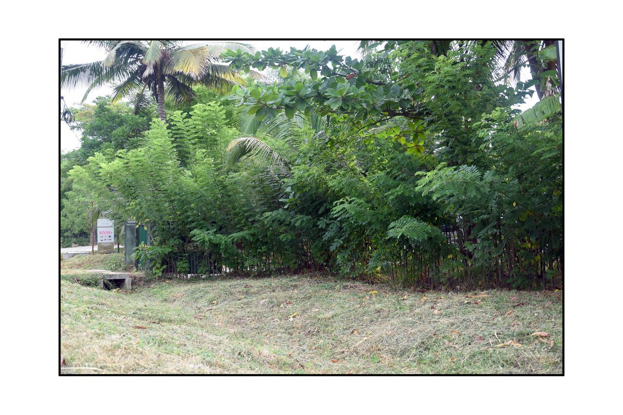 Sun&Green Eco Lodge Dambulla Buitenkant foto