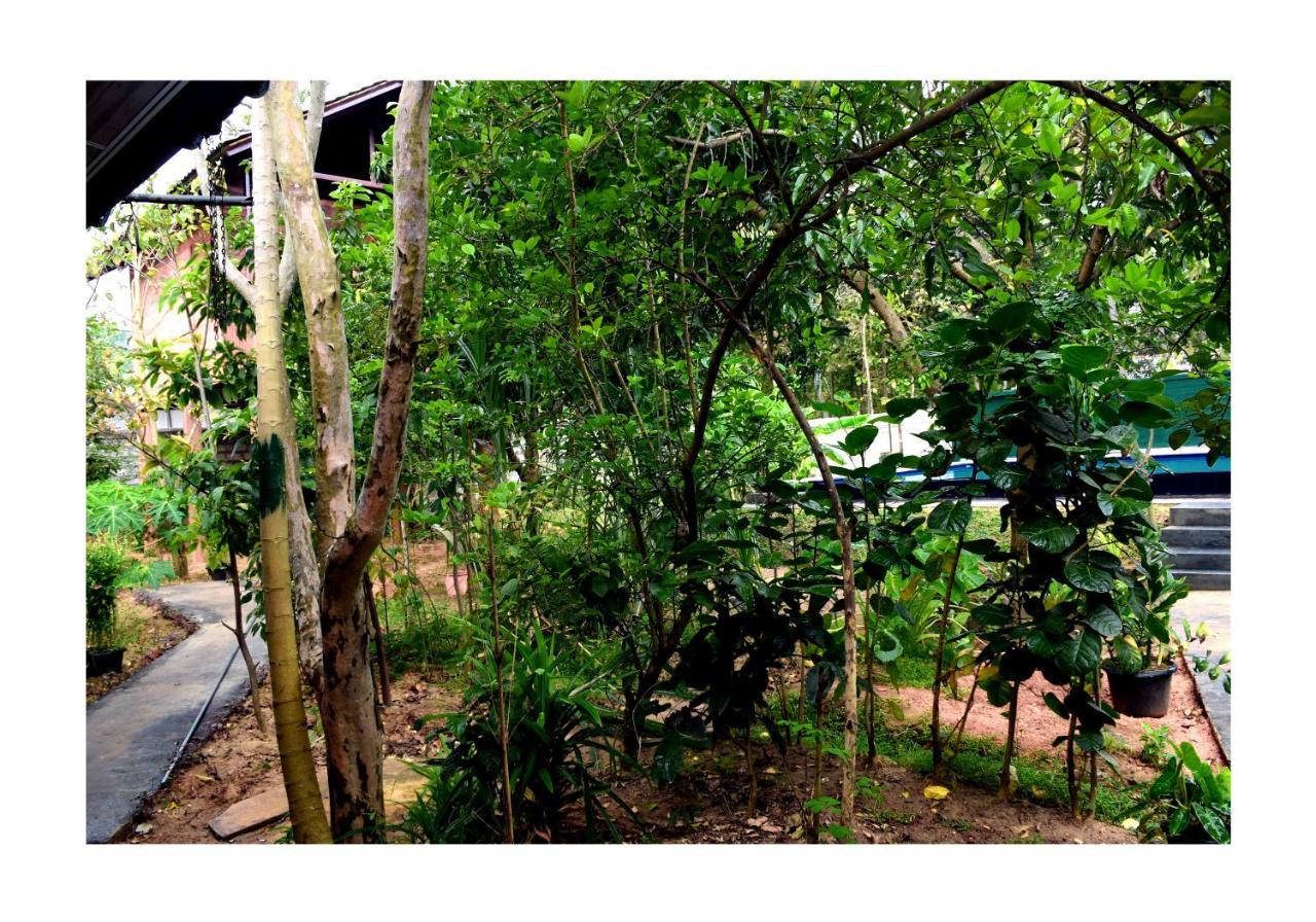 Sun&Green Eco Lodge Dambulla Buitenkant foto