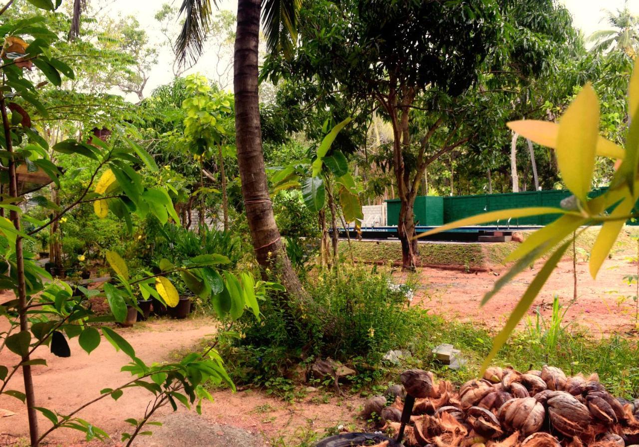 Sun&Green Eco Lodge Dambulla Buitenkant foto