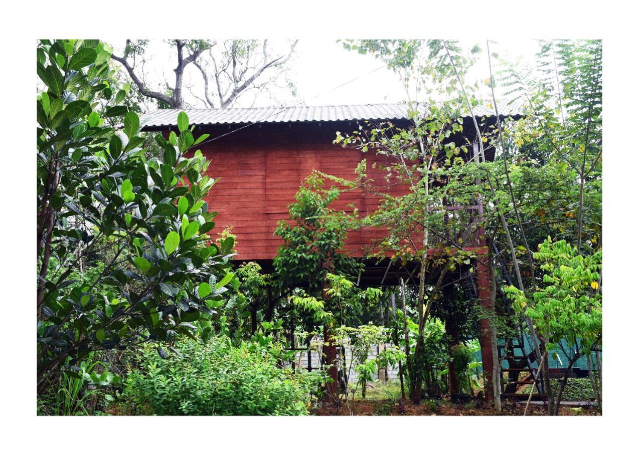 Sun&Green Eco Lodge Dambulla Buitenkant foto