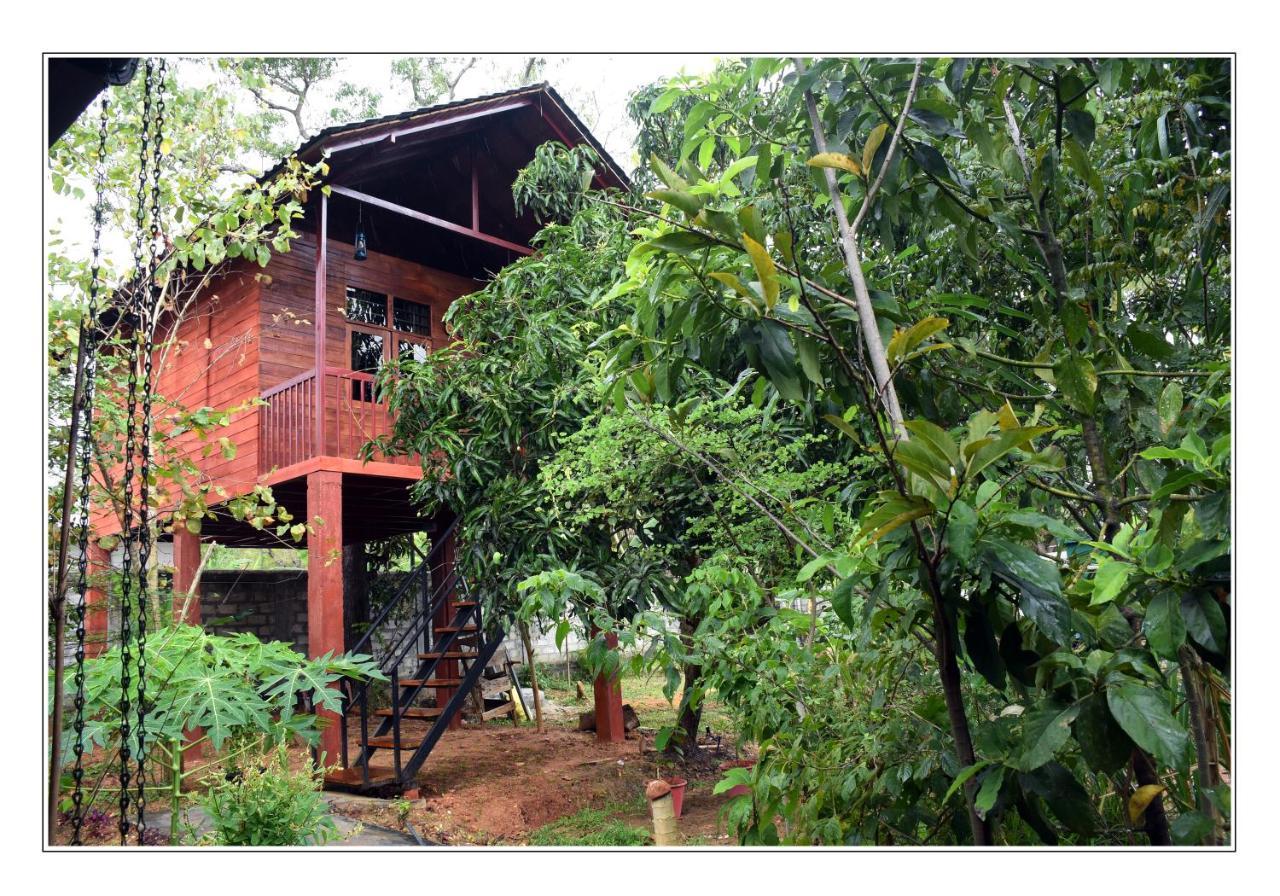Sun&Green Eco Lodge Dambulla Buitenkant foto