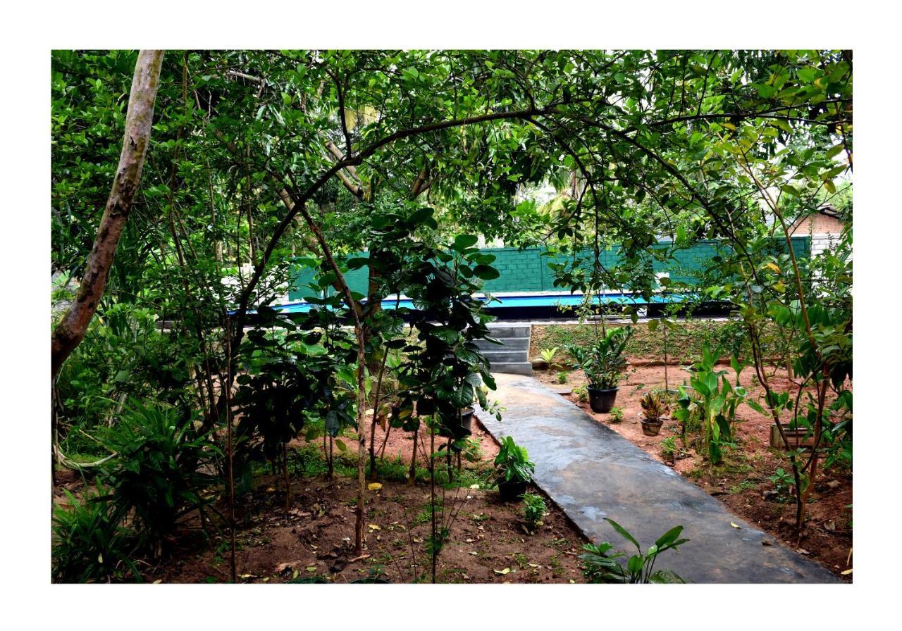 Sun&Green Eco Lodge Dambulla Buitenkant foto