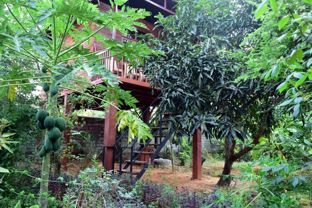 Sun&Green Eco Lodge Dambulla Buitenkant foto