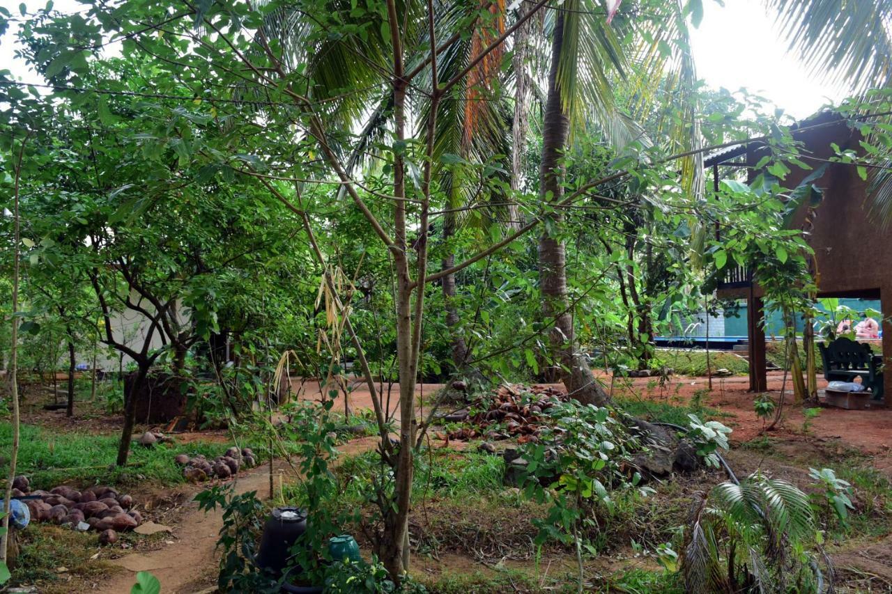 Sun&Green Eco Lodge Dambulla Buitenkant foto